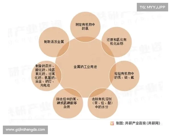 德甲媒体权改革探索与未来发展趋势分析
