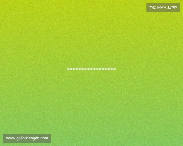 德甲球迷热爱足球背后的故事与激情：从球场到社交网络的球迷文化探索